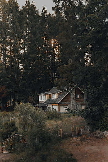 House, Nature, Trees, Forest HD phone wallpaper