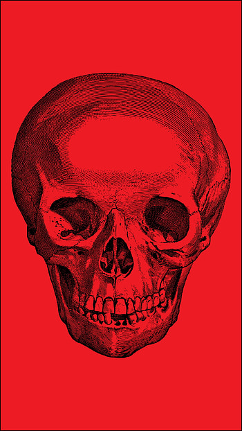 Red Skull Line Art, eye, head HD phone wallpaper
