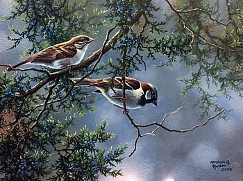 Sparrows, abraham hunter, painting, bird, art, spartow, pictura, pasari HD wallpaper