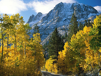 Nature, Trees, Mountains, Autumn, View From Above HD wallpaper