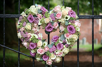 Flowers, Roses, Fence, Heart, Composition, Lisianthus Russell, Lisiantus Russell HD wallpaper