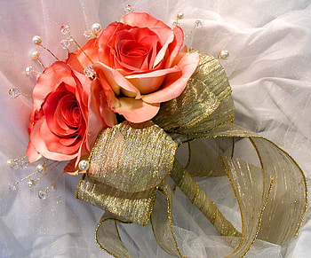 I THANK YOU, coral color, roses, ribbon, pearls, dedication, gold, white flowers HD wallpaper
