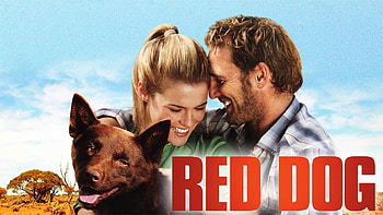 Red Dog movie, Australian outback, Unbreakable bond, -spirited dog HD wallpaper