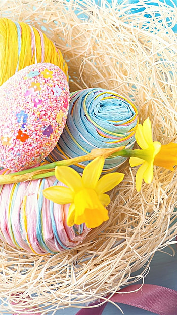 Easter, Nest Background HD phone wallpaper