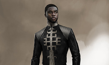 T'Challa, High-quality , Marvel superhero, Black Panther movie HD wallpaper