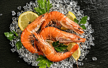 Food seafood , Seafood delicacies, Cooking recipes, Seafood dish HD wallpaper