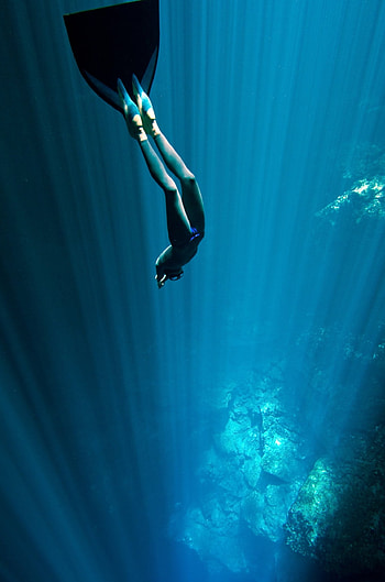 diving, Sports, Divers Nature Sea, Backgrounds HD phone wallpaper