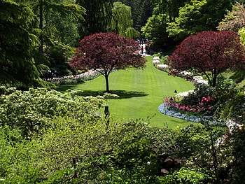 Nature, Flowers, Trees, Summer, Registration, Typography, Garden, Lawn HD wallpaper