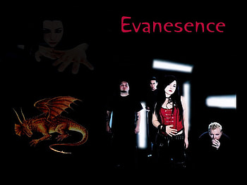 evanesence, gothic, sexy, cute, goth, woman, band, rock, amy lee, music, dragon, female HD wallpaper