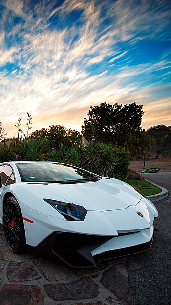 Lamborghini, White HD phone wallpaper