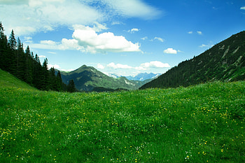 Switzerland mountainous landforms, Highland natural landscape, Grass valley, Pasture alps HD wallpaper