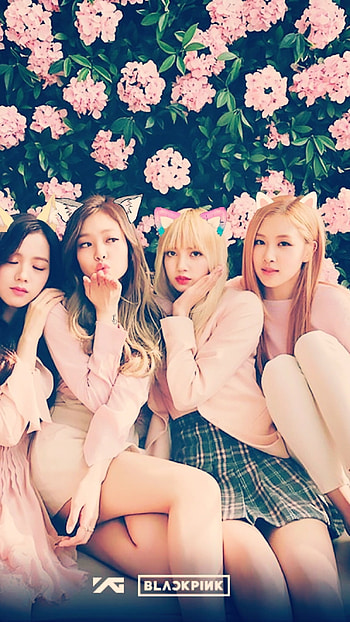 Blackpink, Singer Band HD phone wallpaper