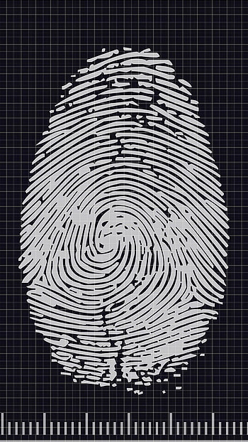 Fingerprint, Fingerprint Copy HD phone wallpaper