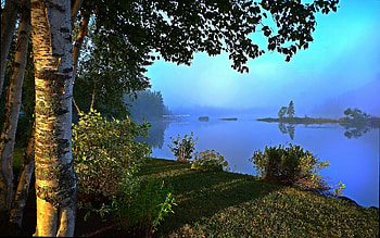 Lakeside Morning Mist, trees, birches, mountains, water HD wallpaper