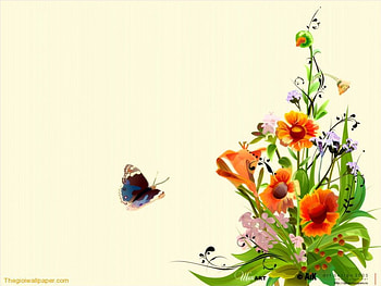 Flowers and Butterfly, flowers, butterfly, spring HD wallpaper
