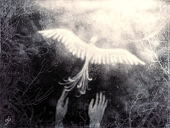 Away, bird, , bird, dark HD wallpaper