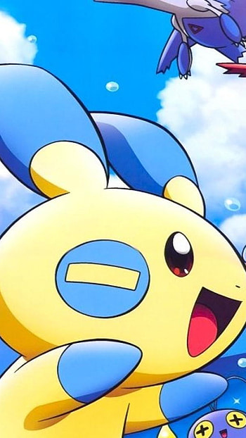 Minun pickachu, pokemon, anime HD phone wallpaper