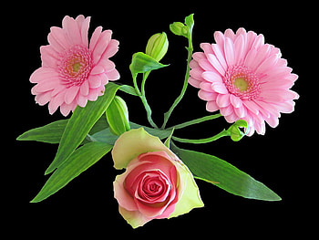 Pink for ungarilangi, rose, still life, pink, beautiful, arrangement, gerbera HD wallpaper