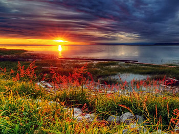 The end of the day, rays, colorful, sunlight, glow, coast, sunrise, beach, shore, day, reflection, bright, shine, water, sun, ocean, sunset, sea, sundown, dazzling, bushes, afternoon, grass, end, stones, summer, light, nature, sky, flowers, vlouds HD wallpaper