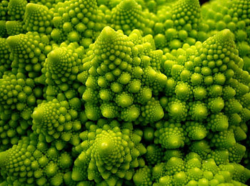 Au Natural, natural, fractal, abstract, art HD wallpaper