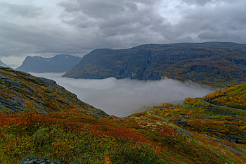 Nature, Grass, Mountains, Rocks, Fog, Taiga HD wallpaper