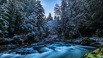 Snowfall along the Dungeness River, Olympic National Forest, Washington, water, rocks, ice, snow, trees, usa HD wallpaper
