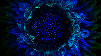 Graphic Flower, blue, big, intense, flower, graphic HD wallpaper