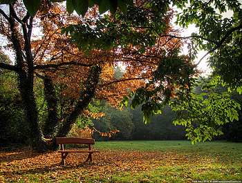 nature HD wallpaper
