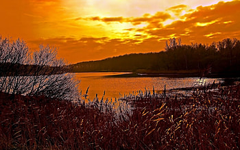 Golden flow, golden, 3d HD wallpaper