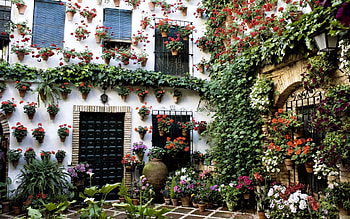 Building, Flowers, Miscellanea, Miscellaneous, House, Handsomely, It's Beautiful HD wallpaper