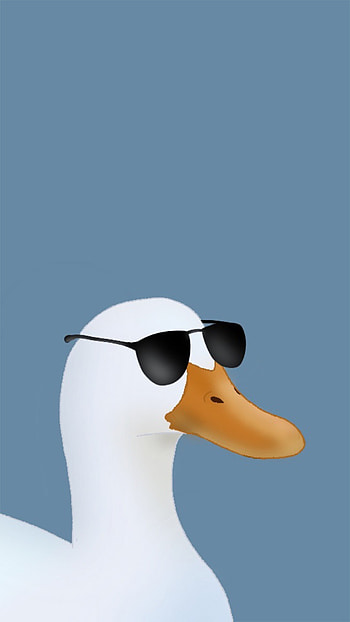 Duck with sunglasses, very cool, animal, funny HD phone wallpaper