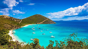 Haiti Travels, Virgin Islands, Palm trees, Tropical paradise HD wallpaper