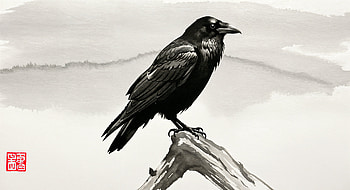 Majestic Raven in Ultra, raven, Black & White, bird, illustration, nature HD wallpaper