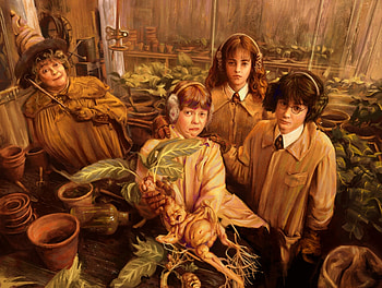 Belladonna lesson, art, harry potter, girl, wizard, belladonna, witch, chikdren, orange, black lamp, fantasy, boy HD wallpaper