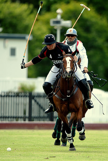 Great polo , Stunning polo action, Memorable polo moments HD phone wallpaper