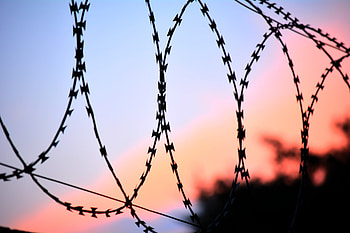 Miscellanea, Miscellaneous, Fencing, Enclosure, Weaving, Braiding, Barbed Wire HD wallpaper