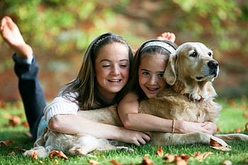 cuddle time, dog, fun, cuddle, girls, nature, lovely HD wallpaper