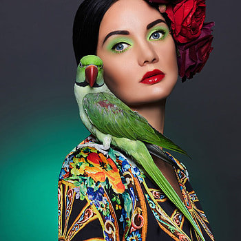 lady, model, graphy, beauty HD wallpaper