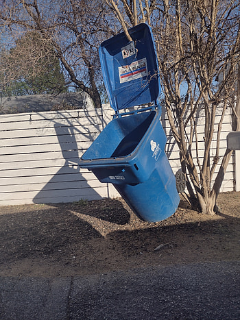 Trash can, funny HD phone wallpaper