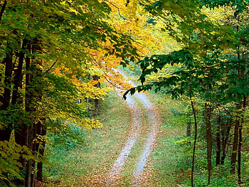 Landscape, Roads, Autumn HD wallpaper