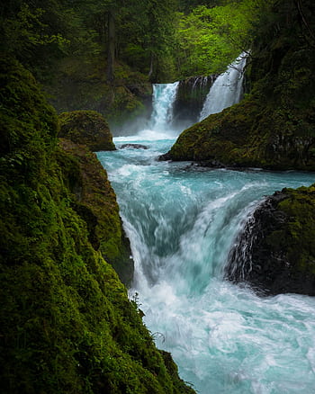 A stunning waterfall with vibrant waters flows through lush, mossy rocks in a serene forest setting. HD phone wallpaper
