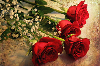 Flowers, Roses, Bouquet, Gypsophilus, Gipsophile, Tablecloth HD wallpaper