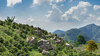 Honduras, Scatec HD wallpaper