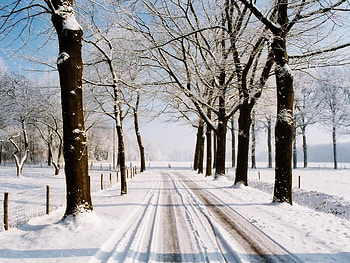 ice road, iced, snow, landscape, trees, sky, road, nature HD wallpaper