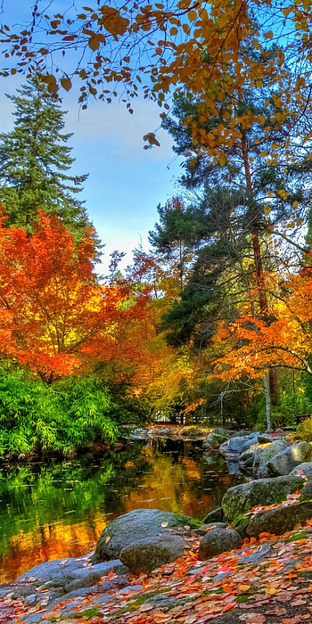 Autumn Park, pond, path, fall, graphy, park HD phone wallpaper