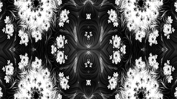 Trippy Psychedelic Fractal, trippy, psychedelic, aesthetic, white, black, Abstract, fractal, abstract black HD wallpaper