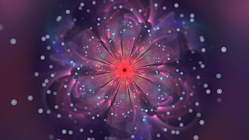 Abstract, Flower, Fractal, Glow, Bokeh, Boquet HD wallpaper