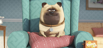The Secrete Life of Pets Original, the-secret-life-of-pets, movies, animated-movies, cartoons HD wallpaper