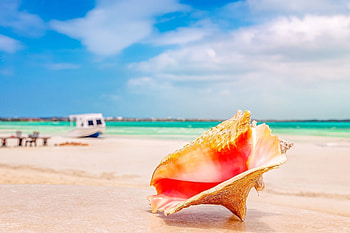 Turks and Caicos, Travels, Relaxing getaway, Paradise retreat HD wallpaper