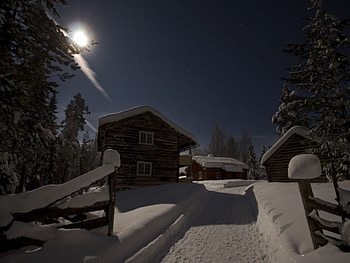 Winterlandscape in moonlight at 24 C below Zero Brrrrzz, winterlandscape, moonlight HD wallpaper